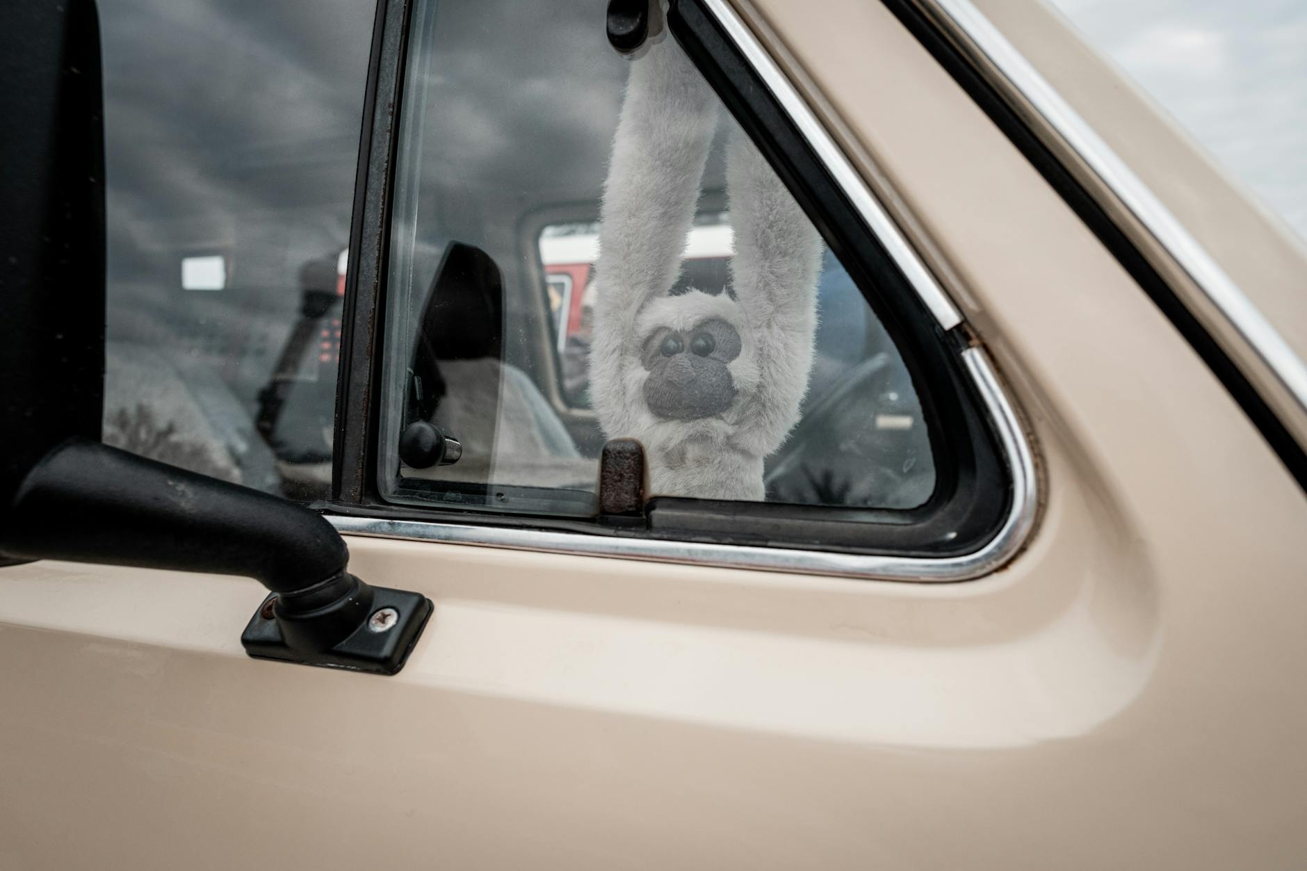 Punch, el mono japonés que conquista las redes con su peluche adoptivo
